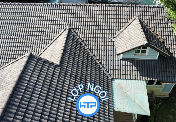 HTP cung cấp dịch vụ đa dạng từ nhà cấp 4 đến biệt thự, trường học, nhà thờ