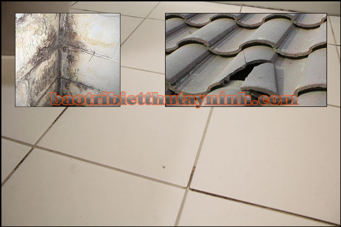 sửa nhà biệt thự 